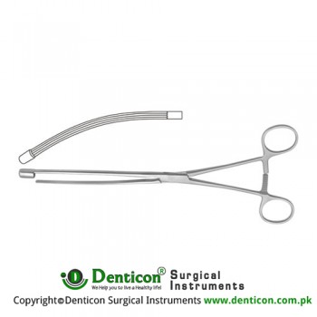 Nussbuam Intestinal Clamp Curved Stainless Steel, 25 cm - 9 3/4"